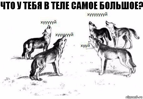 Что у тебя в теле самое большое?, Комикс Когда хочешь