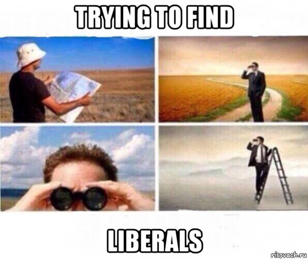 trying to find liberals, Мем Когда ищешь конец