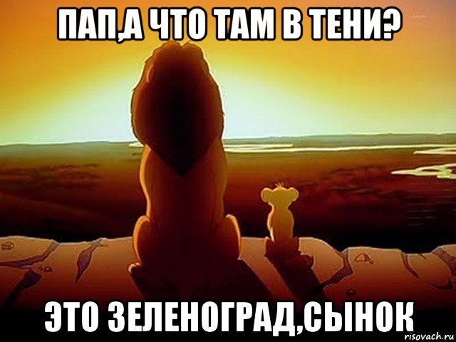 пап,а что там в тени? это зеленоград,сынок