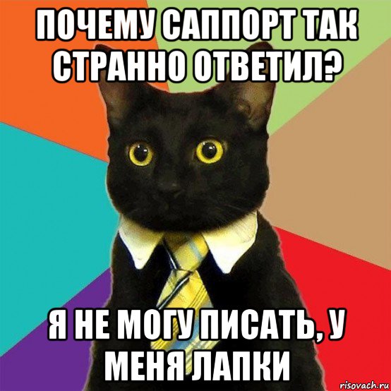 почему саппорт так странно ответил? я не могу писать, у меня лапки, Мем  Кошечка