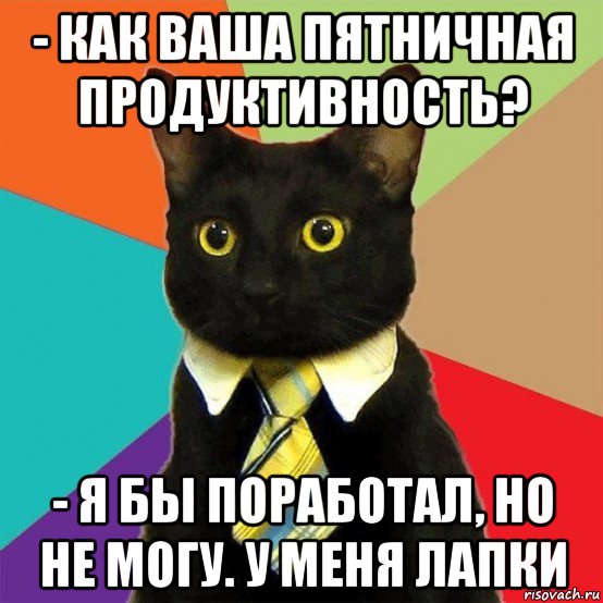 - как ваша пятничная продуктивность? - я бы поработал, но не могу. у меня лапки, Мем  Кошечка