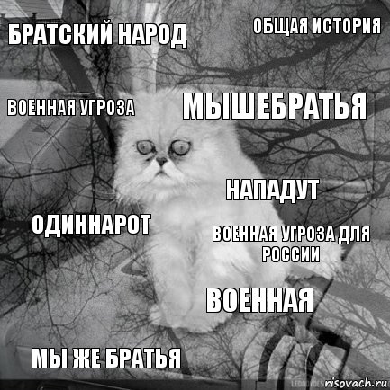 братский народ военная угроза для России мышебратья мы же братья одиннарот общая история военная военная угроза  нападут, Комикс  кот безысходность