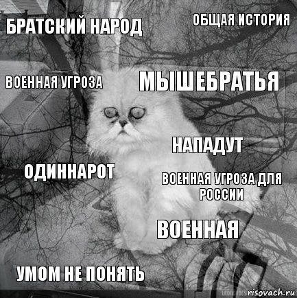 братский народ военная угроза для России мышебратья умом не понять одиннарот общая история военная военная угроза  нападут, Комикс  кот безысходность