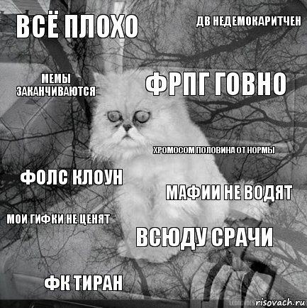 Всё плохо мафии не водят фрпг говно ФК тиран Фолс клоун ДВ недемокаритчен всюду срачи мемы заканчиваются мои гифки не ценят хромосом половина от нормы, Комикс  кот безысходность