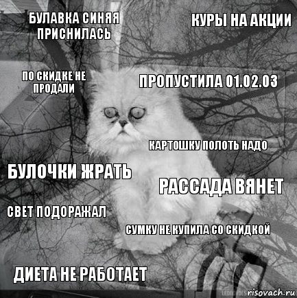 булавка синяя приснилась рассада вянет пропустила 01.02.03 диета не работает булочки жрать куры на акции сумку не купила со скидкой по скидке не продали свет подоражал картошку полоть надо, Комикс  кот безысходность