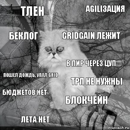 тлен ТРП не нужны GridGain лежит лета нет пошел дождь, упал Grid Agiliзация блокчейн беклог бюджетов нет в ПИР через ЦУП, Комикс  кот безысходность