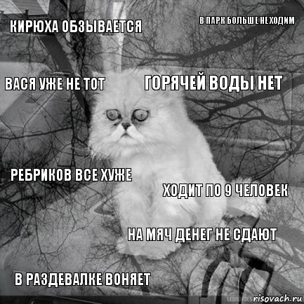 Кирюха обзывается Ходит по 9 человек Горячей воды нет В раздевалке воняет Ребриков все хуже В парк больше не ходим На мяч денег не сдают Вася уже не тот  , Комикс  кот безысходность