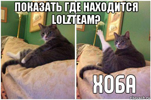 показать где находится lolzteam? , Комикс Кот Хоба