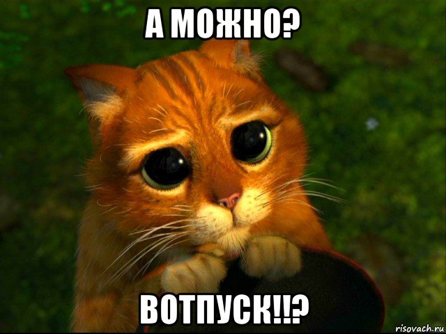 а можно? вотпуск!!?, Мем кот из шрека