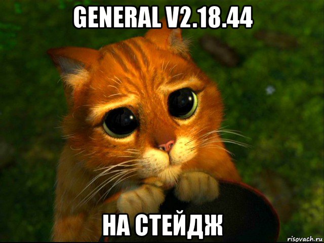 general v2.18.44 на стейдж, Мем кот из шрека