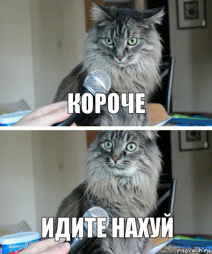 Короче Идите нахуй, Комикс  кот с микрофоном