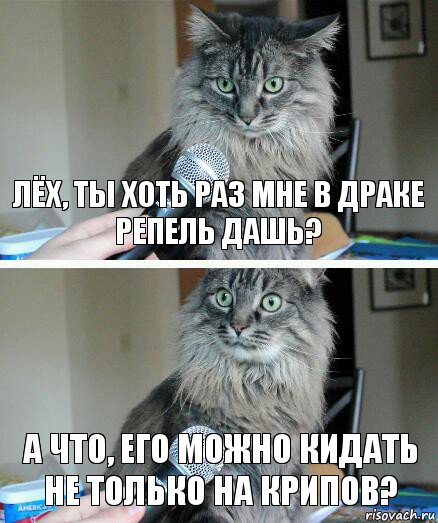 Лёх, ты хоть раз мне в драке репель дашь? А что, его можно кидать не только на крипов?, Комикс  кот с микрофоном