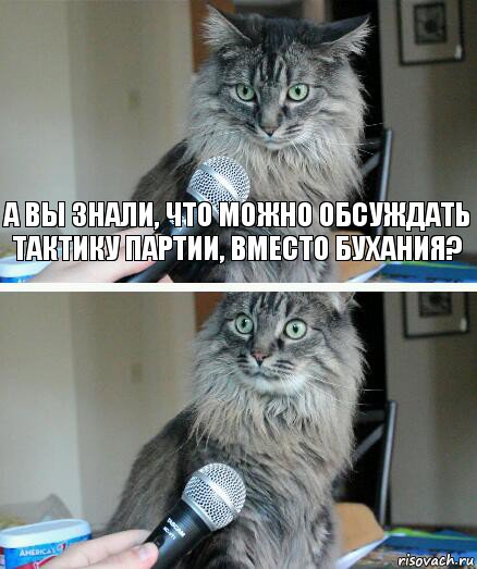 А вы знали, что можно обсуждать тактику партии, вместо бухания? , Комикс  кот с микрофоном