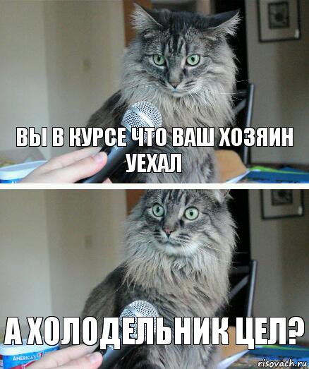 ВЫ В КУРСЕ ЧТО ВАШ ХОЗЯИН УЕХАЛ А ХОЛОДЕЛЬНИК ЦЕЛ?, Комикс  кот с микрофоном