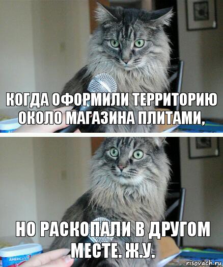 когда оформили территорию около магазина плитами, но раскопали в другом месте. ж.у., Комикс  кот с микрофоном