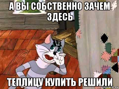 а вы собственно зачем здесь теплицу купить решили, Мем Кот Матроскин возмущен