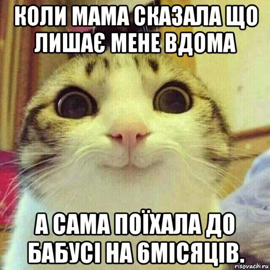 коли мама сказала що лишає мене вдома а сама поїхала до бабусі на 6місяців., Мем       Котяка-улыбака