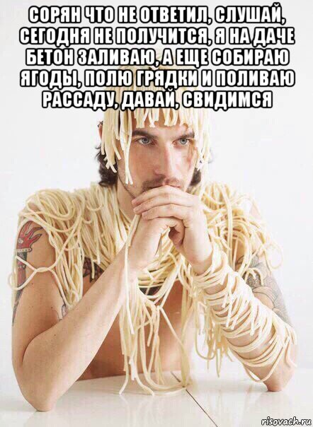 сорян что не ответил, слушай, сегодня не получится, я на даче бетон заливаю, а еще собираю ягоды, полю грядки и поливаю рассаду, давай, свидимся , Мем   Лапша на ушах