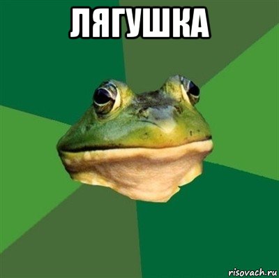 лягушка 