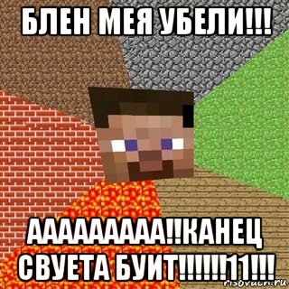 блен мея убели!!! ааааааааа!!канец свуета буит!!!!!!11!!!, Мем Миникрафтер