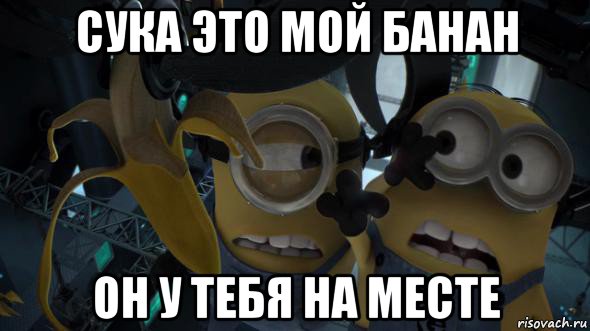 сука это мой банан он у тебя на месте