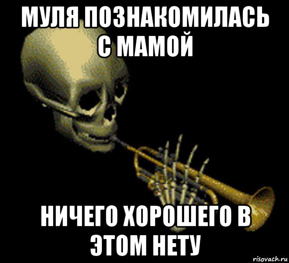 муля познакомилась с мамой ничего хорошего в этом нету, Мем Мистер дудец