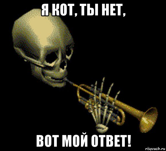 я кот, ты нет, вот мой ответ!, Мем Мистер дудец