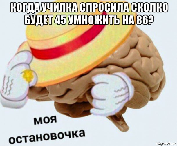 когда училка спросила сколко будет 45 умножить на 86? , Мем   Моя остановочка мозг