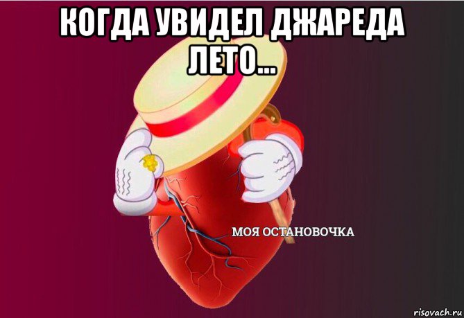 когда увидел джареда лето... , Мем   Моя остановочка