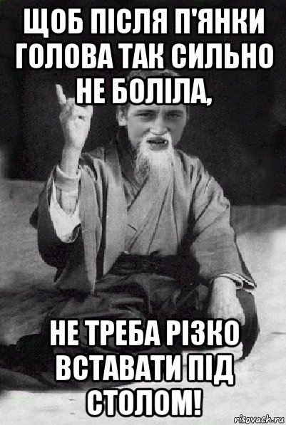 щоб після п'янки голова так сильно не боліла, не треба різко вставати під столом!, Мем Мудрий паца