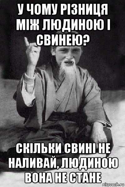 у чому різниця між людиною і свинею? скільки свині не наливай, людиною вона не стане, Мем Мудрий паца