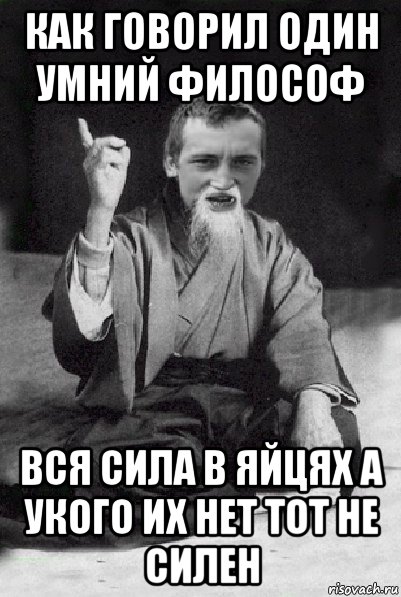 как говорил один умний философ вся сила в яйцях а укого их нет тот не силен, Мем Мудрий паца