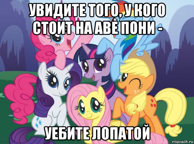 увидите того, у кого стоит на аве пони - уебите лопатой, Мем My little pony