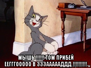  мышь !!!!!! том прибей еегггооооо в зззаааааддд !!!!!!!!!!, Мем Наглый том