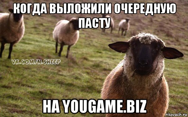 когда выложили очередную пасту нa yougame.biz, Мем  Наивная Овца