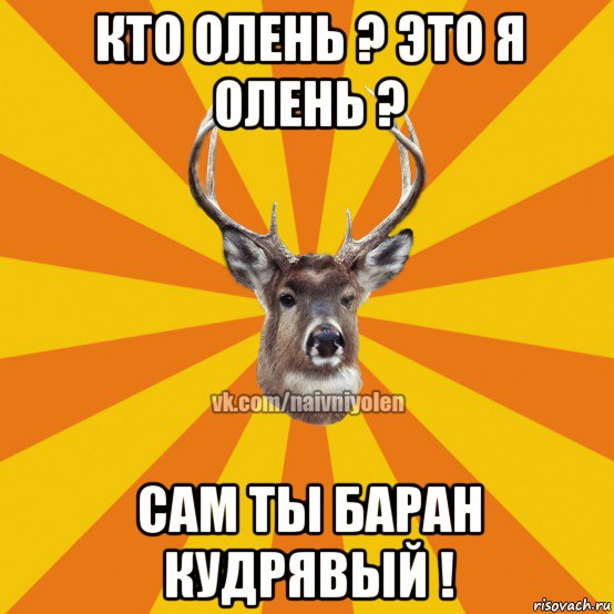 кто олень ? это я олень ? сам ты баран кудрявый !