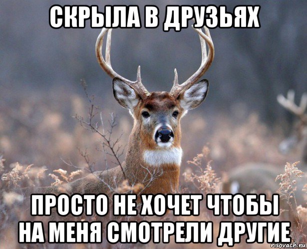 скрыла в друзьях просто не хочет чтобы на меня смотрели другие, Мем   Наивный олень