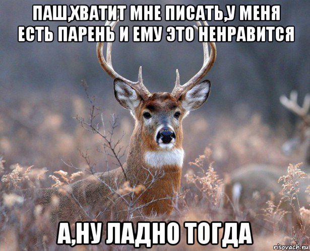 паш,хватит мне писать,у меня есть парень и ему это ненравится а,ну ладно тогда, Мем   Наивный олень