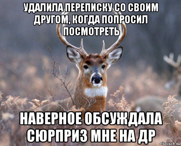 удалила переписку со своим другом, когда попросил посмотреть наверное обсуждала сюрприз мне на др, Мем   Наивный олень