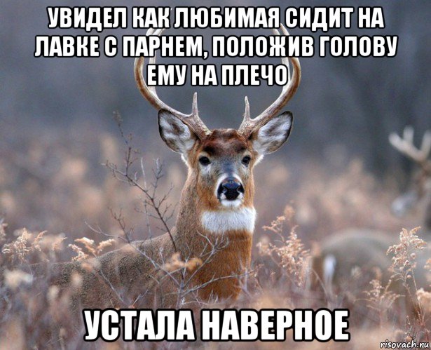 увидел как любимая сидит на лавке с парнем, положив голову ему на плечо устала наверное, Мем   Наивный олень