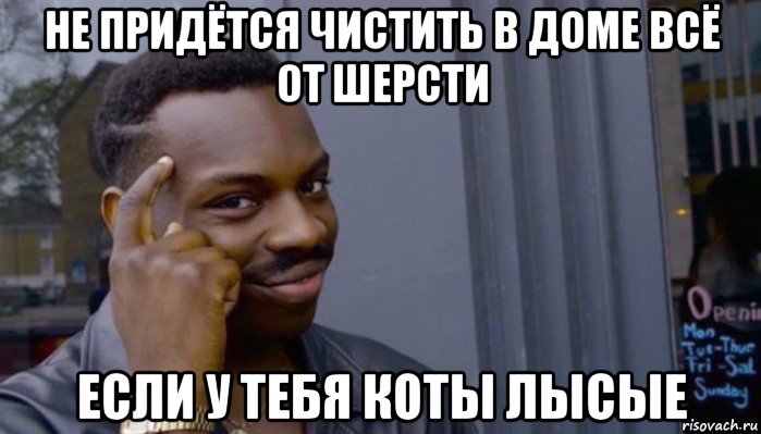 не придётся чистить в доме всё от шерсти если у тебя коты лысые, Мем Не делай не будет