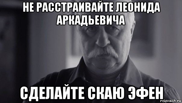 не расстраивайте леонида аркадьевича сделайте скаю эфен, Мем Не огорчай Леонида Аркадьевича