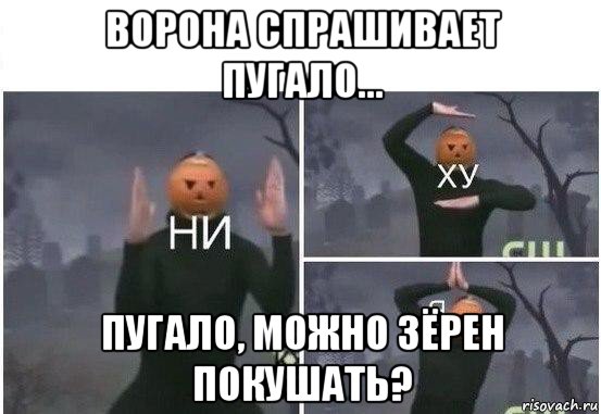 ворона спрашивает пугало... пугало, можно зёрен покушать?, Мем  Ни ху Я