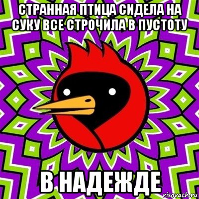 странная птица сидела на суку все строчила в пустоту в надежде, Мем Омская птица