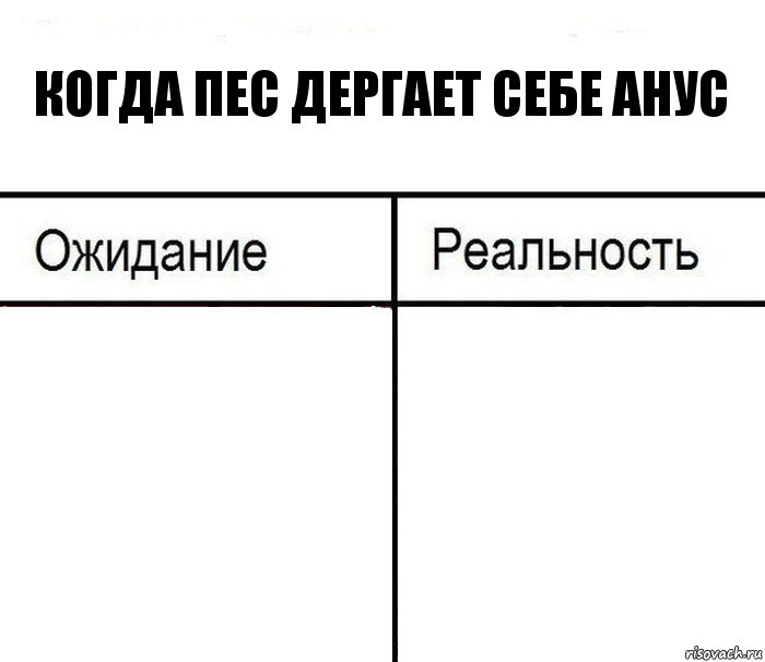 Когда пес дергает себе анус  , Комикс  Ожидание - реальность