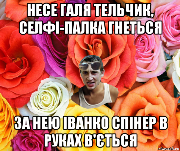 несе галя тельчик, селфі-палка гнеться за нею іванко спінер в руках в'ється, Мем  пацанчо