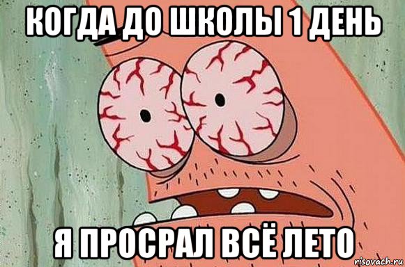 когда до школы 1 день я просрал всё лето, Мем  Патрик в ужасе