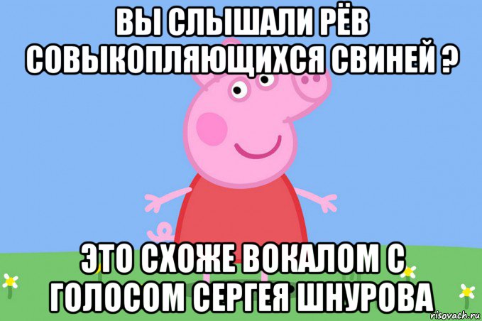 вы слышали рёв совыкопляющихся свиней ? это схоже вокалом с голосом сергея шнурова, Мем Пеппа