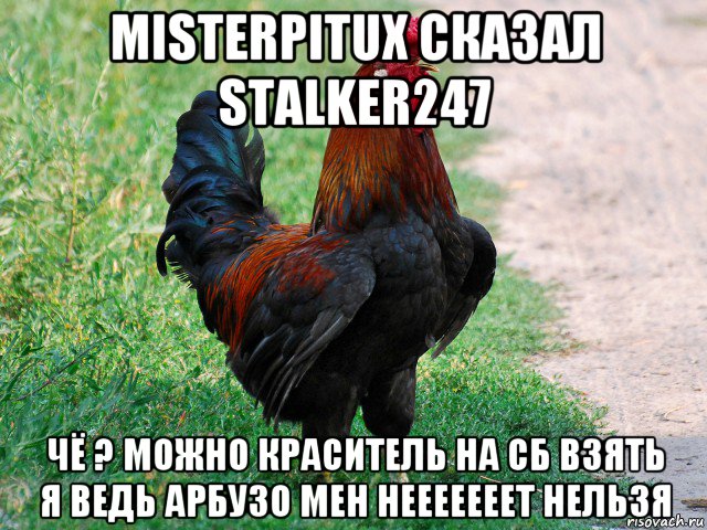 misterpitux сказал stalker247 чё ? можно краситель на сб взять я ведь арбузо мен нееееееет нельзя