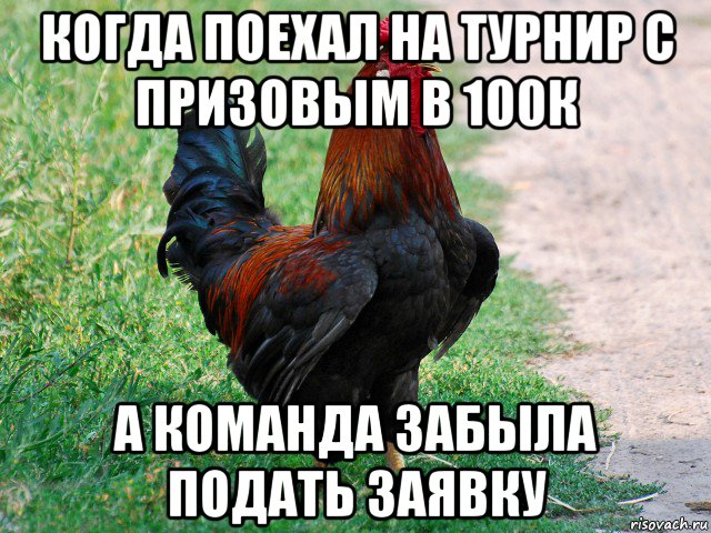 когда поехал на турнир с призовым в 100к а команда забыла подать заявку, Мем петух